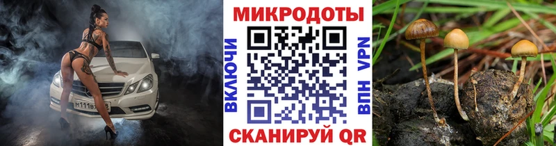 kraken онион  Тогучин  Галлюциногенные грибы ЛСД  цена наркотик 
