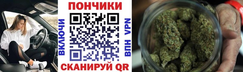 Бошки Шишки VHQ Тогучин